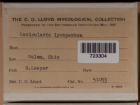 Reticularia lycoperdon image
